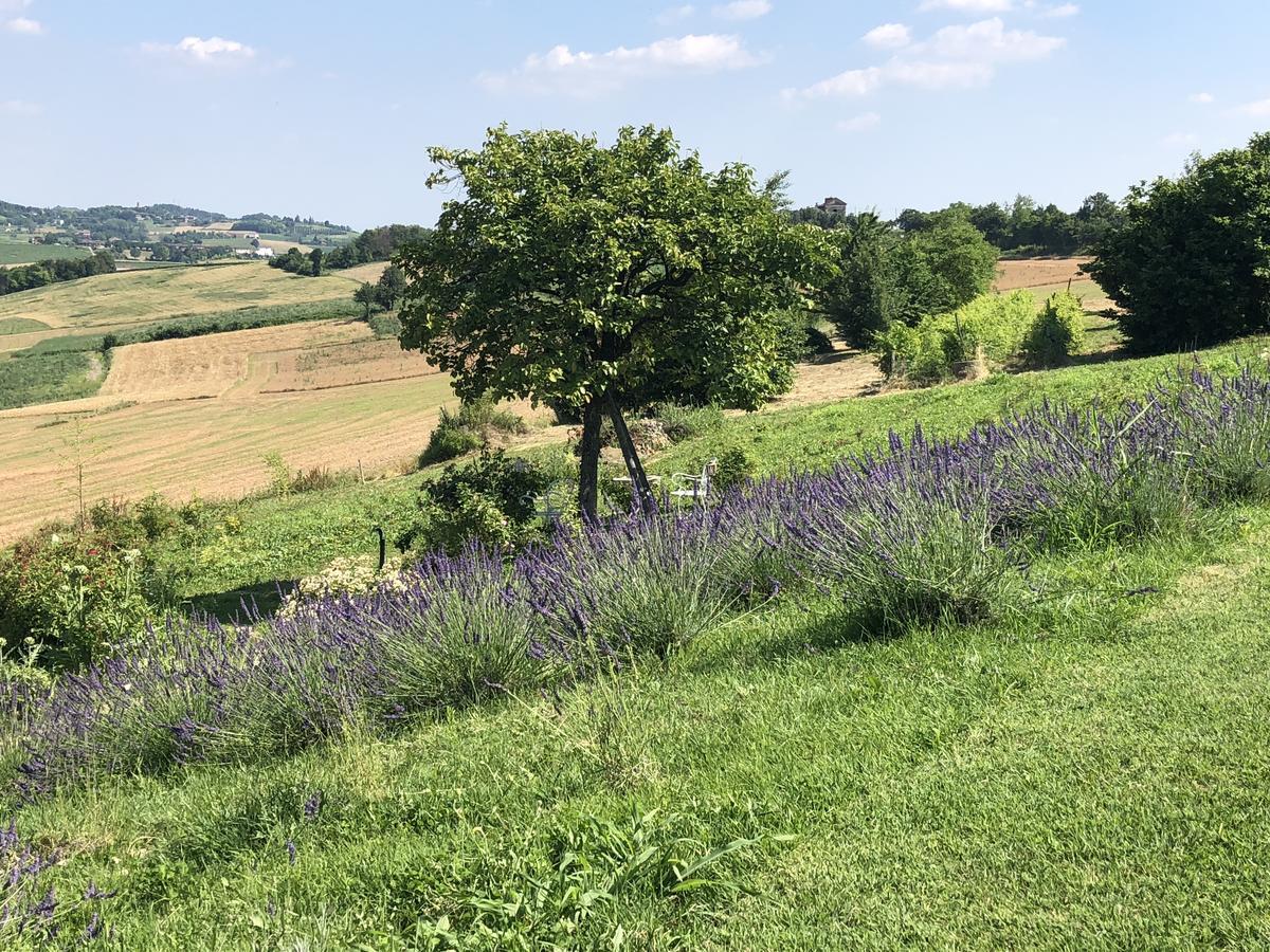 Cascina Vicentini Casa de hóspedes Alfiano Natta Exterior foto